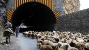 انسداد محور کندوان برای عبور احشام ۱۳ و ۲۰ مهر