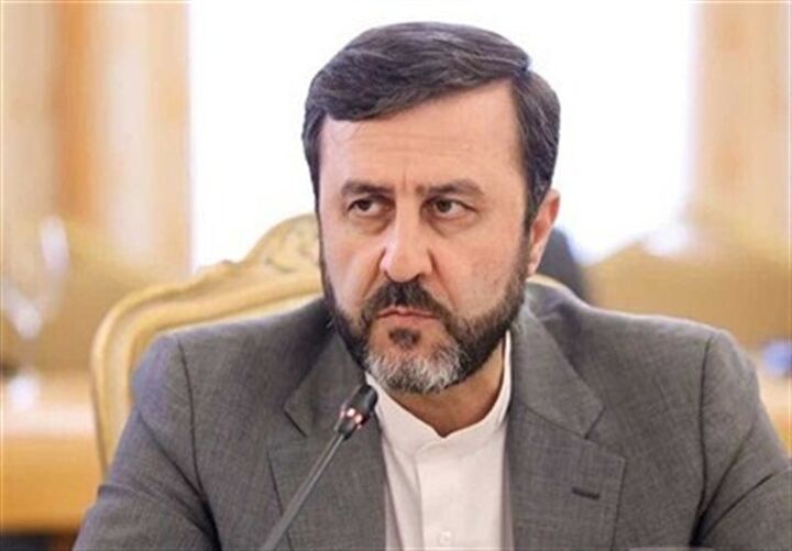 غریب آبادی: نظرات آمریکا در داخل کشور در حال بررسی است