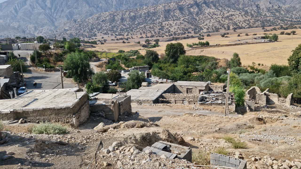 هم‌افزایی برای برکت سفره دامداران