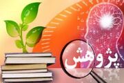 ۵عضو هیات علمی دانشگاه‌های هرمزگان در جمع ۲درصد دانشمندان برتر جهان