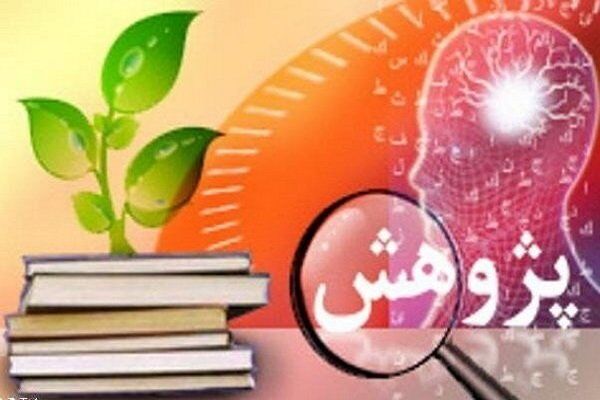 ۵عضو هیات علمی دانشگاه‌های هرمزگان در جمع ۲درصد دانشمندان برتر جهان