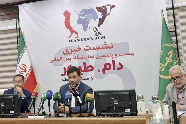 تأمین مالی، بزرگ‌ترین چالش صنعت دام و طیور پس از حذف ارز ترجیحی