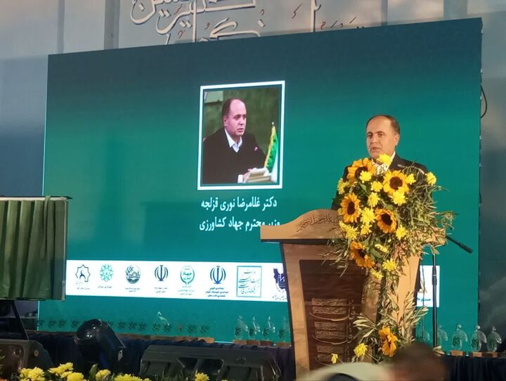 وزیر جهاد کشاورزی: ۱۰۸ رقم جدید زیتون از اسپانیا وارد می‌شود