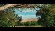 اجرای ۲۲ هزار طرح آب‌رسانی کشاورزی در مناطق کم‌برخوردار