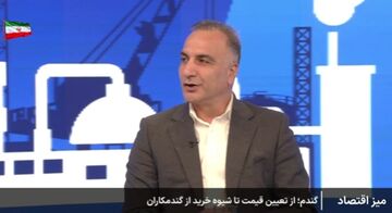 انتقاد معاون جهاد کشاورزی به قیمت پیشنهادی گندم سازمان برنامه و بودجه