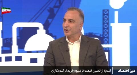 انتقاد معاون جهاد کشاورزی به قیمت پیشنهادی گندم سازمان برنامه و بودجه