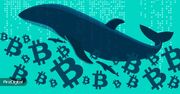 احتمال فروش بیت‌ کوین توسط سرمایه‌گذاران خرد؛ نهنگ‌ها فعلا عقب نشسته‌اند