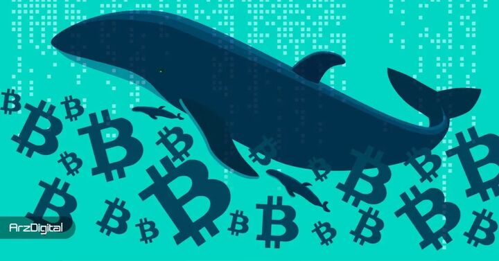 احتمال فروش بیت‌ کوین توسط سرمایه‌گذاران خرد؛ نهنگ‌ها فعلا عقب نشسته‌اند