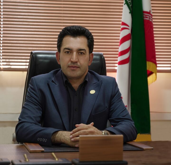 زیتون ایران در تنگنای تولید و بازار؛ از بحران انرژی تا انباشت محصول