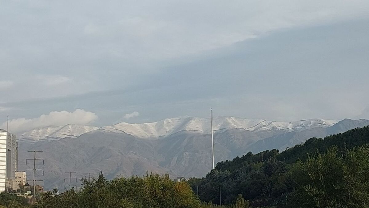 برف